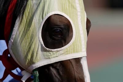 ファイル 263-2.jpg