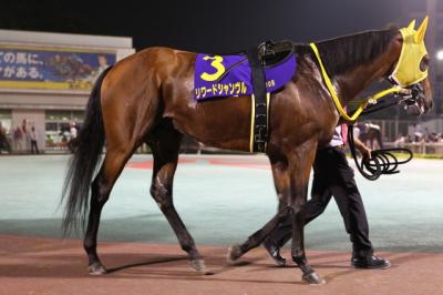 ファイル 264-1.jpg