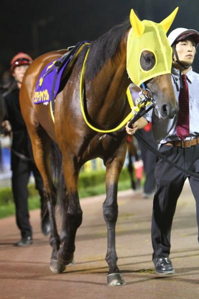 ファイル 264-3.jpg