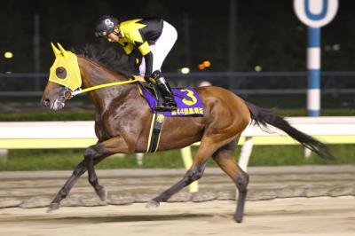 ファイル 265-1.jpg