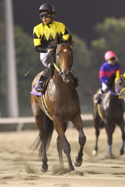 ファイル 265-2.jpg