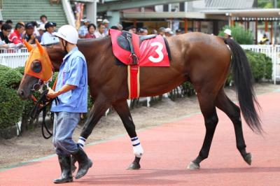 ファイル 267-1.jpg