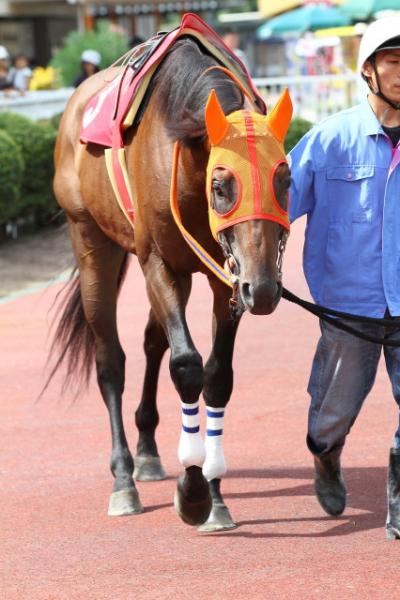 ファイル 267-2.jpg