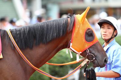 ファイル 267-3.jpg