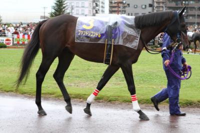 ファイル 269-1.jpg