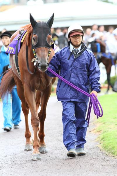 ファイル 270-2.jpg