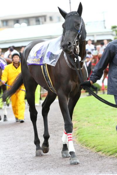 ファイル 271-2.jpg