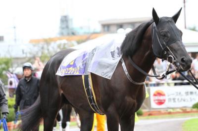 ファイル 271-3.jpg