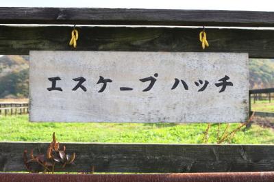 ファイル 274-1.jpg