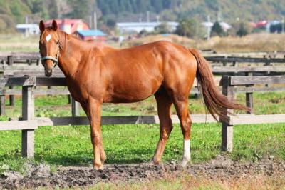 ファイル 274-2.jpg