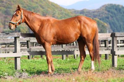 ファイル 274-3.jpg