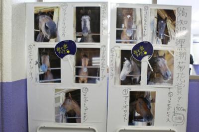 ファイル 275-2.jpg