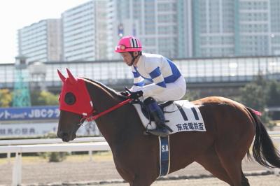 ファイル 276-1.jpg