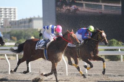 ファイル 276-3.jpg