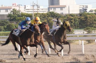 ファイル 277-4.jpg