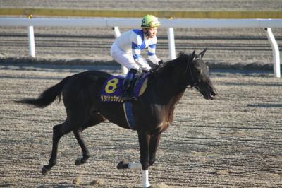 ファイル 279-3.jpg