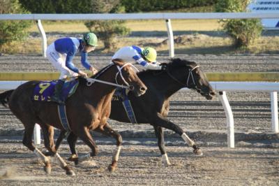 ファイル 279-4.jpg