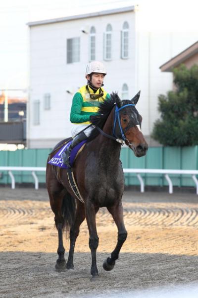 ファイル 284-1.jpg