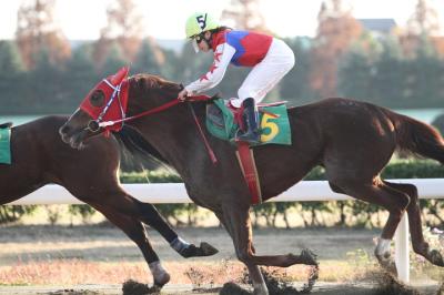 ファイル 285-3.jpg