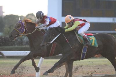 ファイル 286-3.jpg