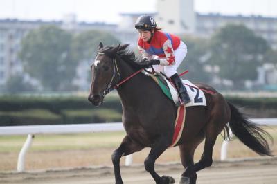 ファイル 287-2.jpg