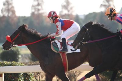 ファイル 288-3.jpg