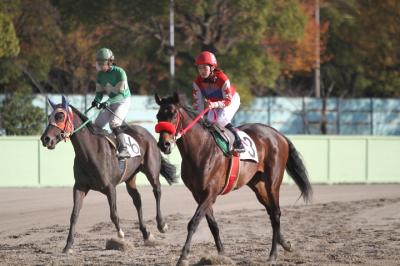 ファイル 288-4.jpg