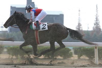 ファイル 290-1.jpg