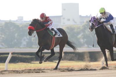 ファイル 290-3.jpg