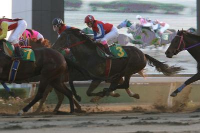 ファイル 291-1.jpg