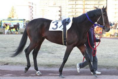 ファイル 294-1.jpg