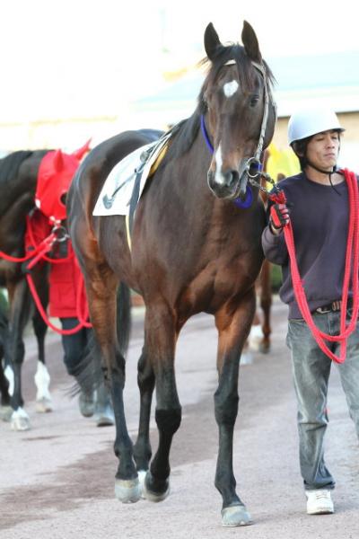 ファイル 294-2.jpg