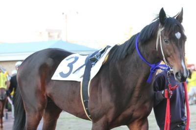 ファイル 294-3.jpg