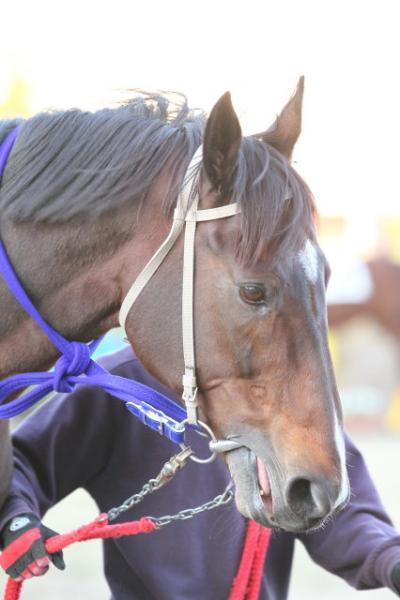 ファイル 294-4.jpg