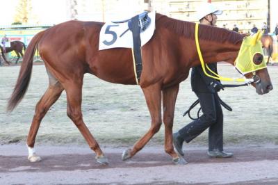 ファイル 295-1.jpg