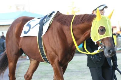 ファイル 295-3.jpg