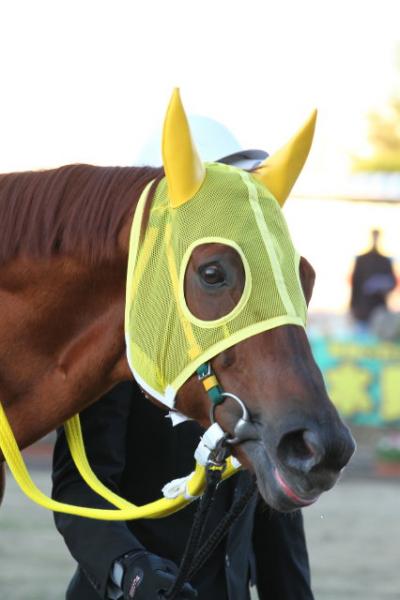 ファイル 295-4.jpg