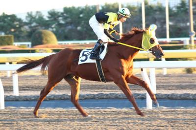 ファイル 296-1.jpg