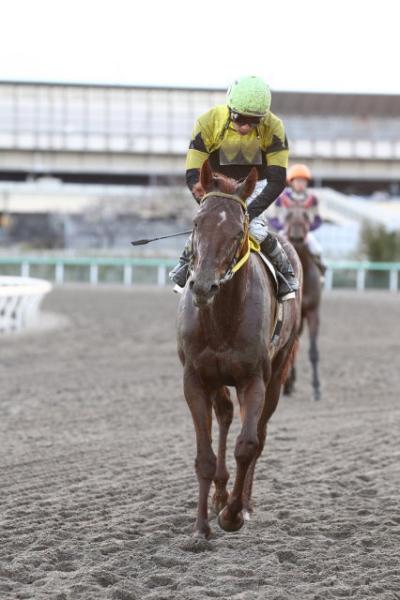 ファイル 296-2.jpg