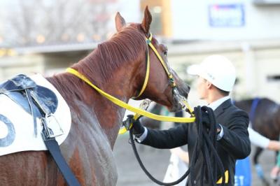 ファイル 296-3.jpg