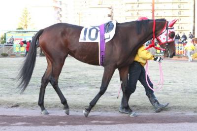 ファイル 297-1.jpg