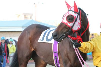 ファイル 297-3.jpg