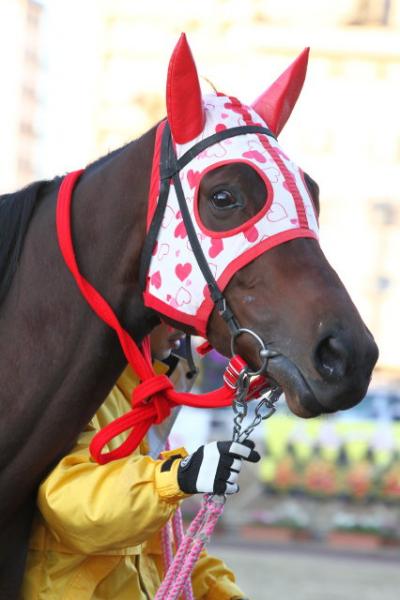 ファイル 297-5.jpg