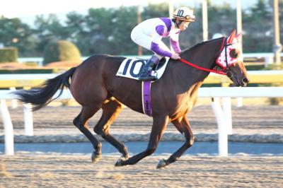 ファイル 298-1.jpg