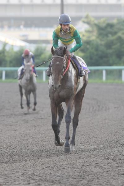 ファイル 3-1.jpg