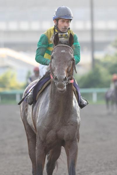 ファイル 3-2.jpg