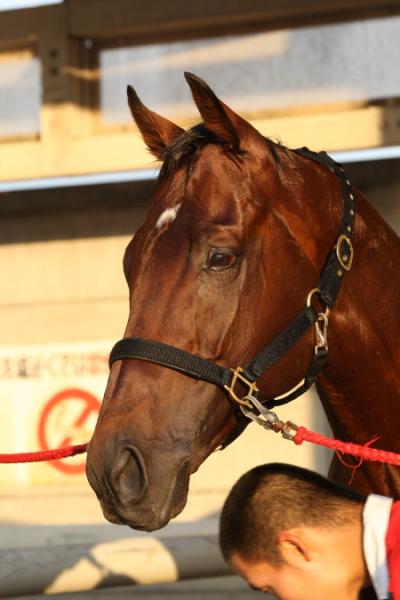 ファイル 3-4.jpg