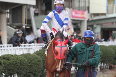 ファイル 300-1.jpg