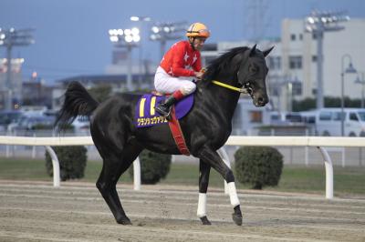 ファイル 307-3.jpg