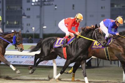 ファイル 307-4.jpg